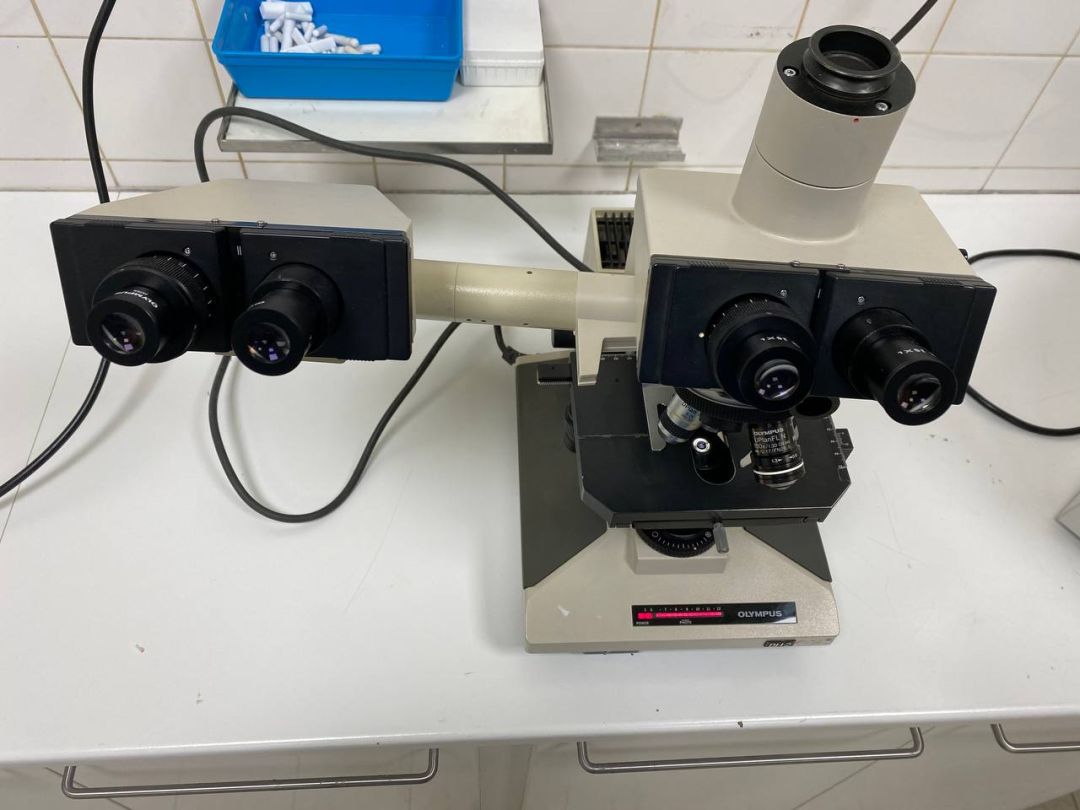 Microscope de laboratoire d'occasion bh-2 olympus - p2212-1958_0