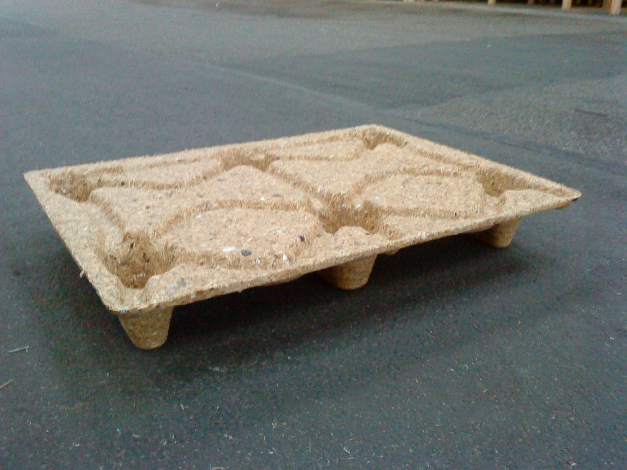 Palettes moulées en bois