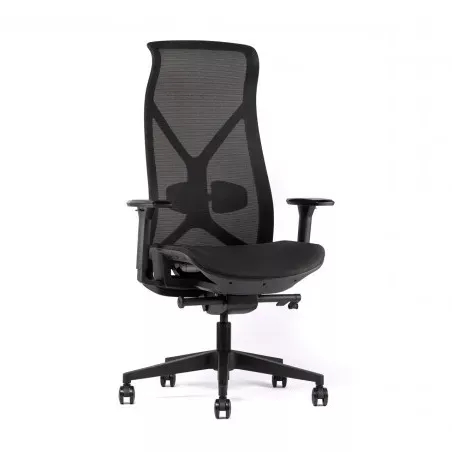 Siège de bureau ergonomique synchrone So Lanciano P07 - réglable avec têtière et soutien lombaire_0