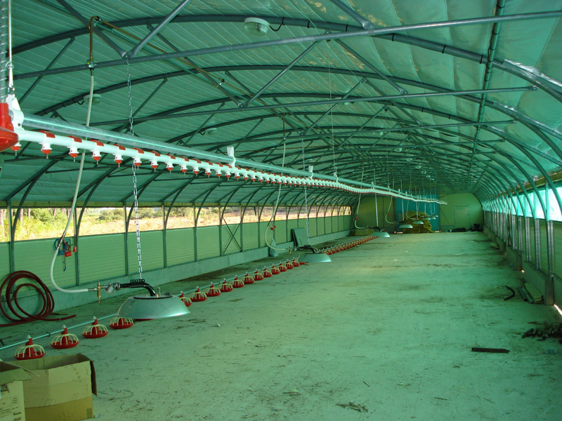 Tunnel  equipe pour poussiniere_1