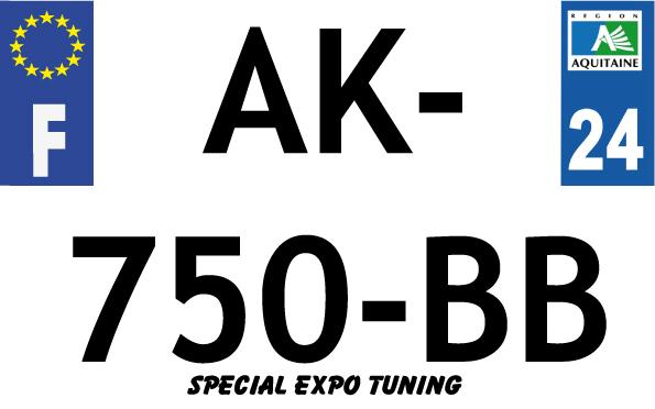 Plaque d'immatriculation moto 210x130 expo tuning par 10_0