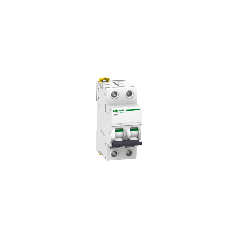 DISJONCTEUR ACTI9 IC60N 2P COURBE D 10A - SCHNEIDER ELECTRIC - A9F75210