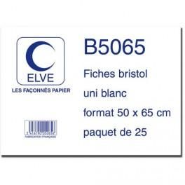 ELVE 25 FICHES BRISTOL 190G UNIE 50X65 CM - SOUS FILM