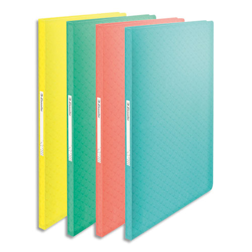 PROTEGE-DOCUMENTS ESSELTE COLOUR'ICE - POLYPROPYLENE 5/10EME - 40 POCHETTES - 80 VUES - COLORIS ASSORTIS - LOT DE 20