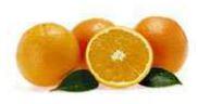 Solvant terpene dorange ae770084_0