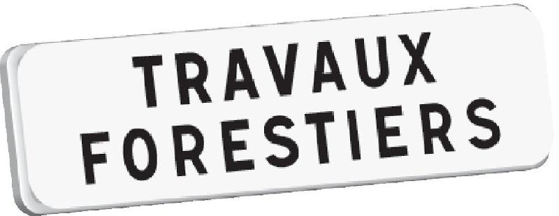 Panonceaux Taliasign M 700x200 mm classe 1 Indications Temporaires - PNTLGLV1M-TL01/TF_0