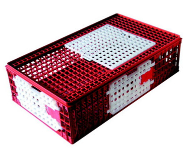 Caisse de transport avicole - pour poulets_0