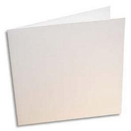 CARTE POLLEN - 210 G - CARTE DOUBLE FORMAT 160 X 160 MM - PAQUET DE 25 - COLORIS BLANC