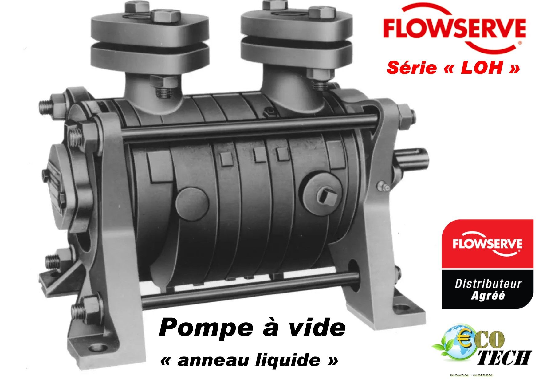 Pompe à vide à anneau liquide flowserve - sihi loh pompage gaz et vapeurs_0