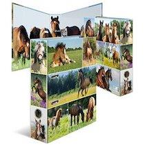CLASSEUR À LEVIER 'MONDE ANIMAL', RONGEURS - LOT DE 5