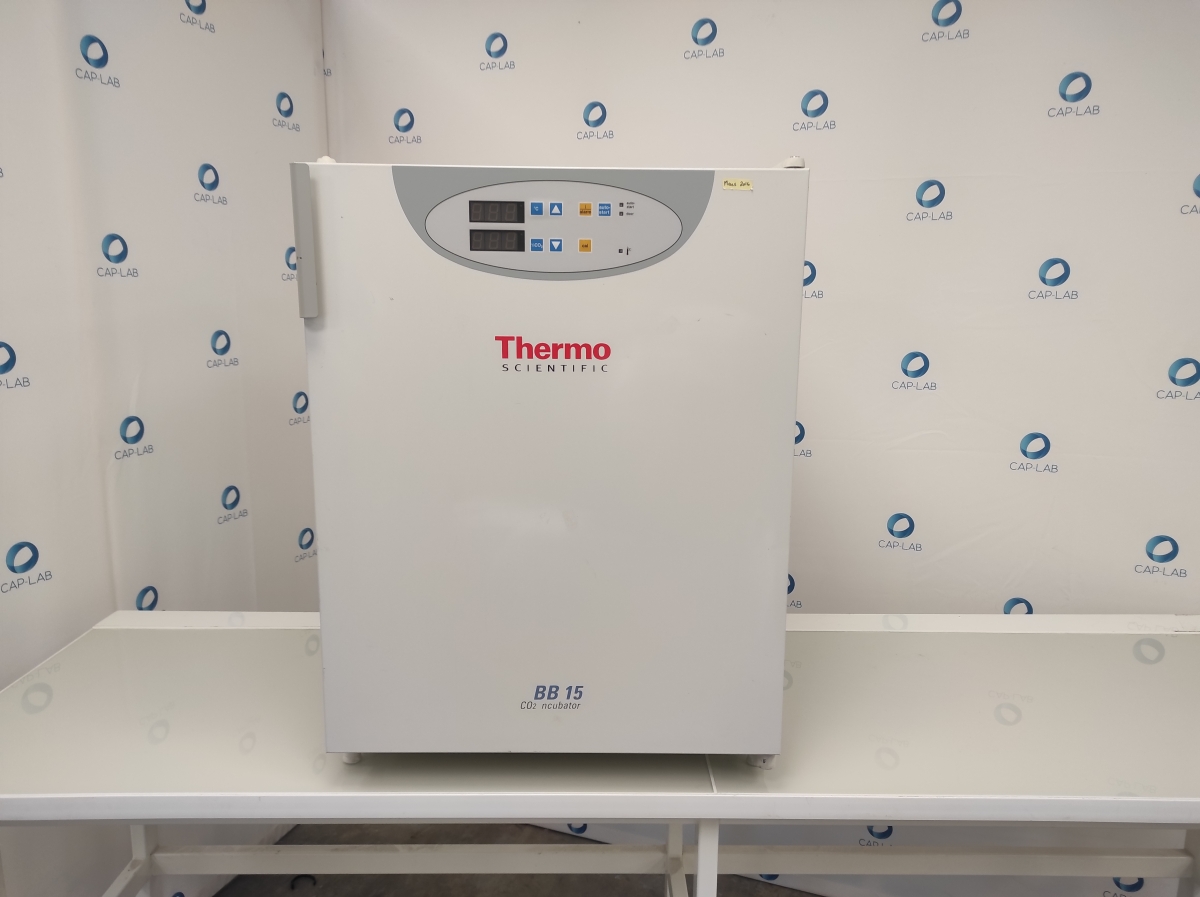 Incubateur à CO2 d'occasion de laboratoire de recherche - Thermofisher BB15_0