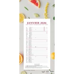 Quo Vadis - Bloc mensuel - 2026 - Français - Multicolore motif agrumes - 12 mois de janvier à décembre - 16x33,5 cm - Papier Clairefontaine blanc -_0