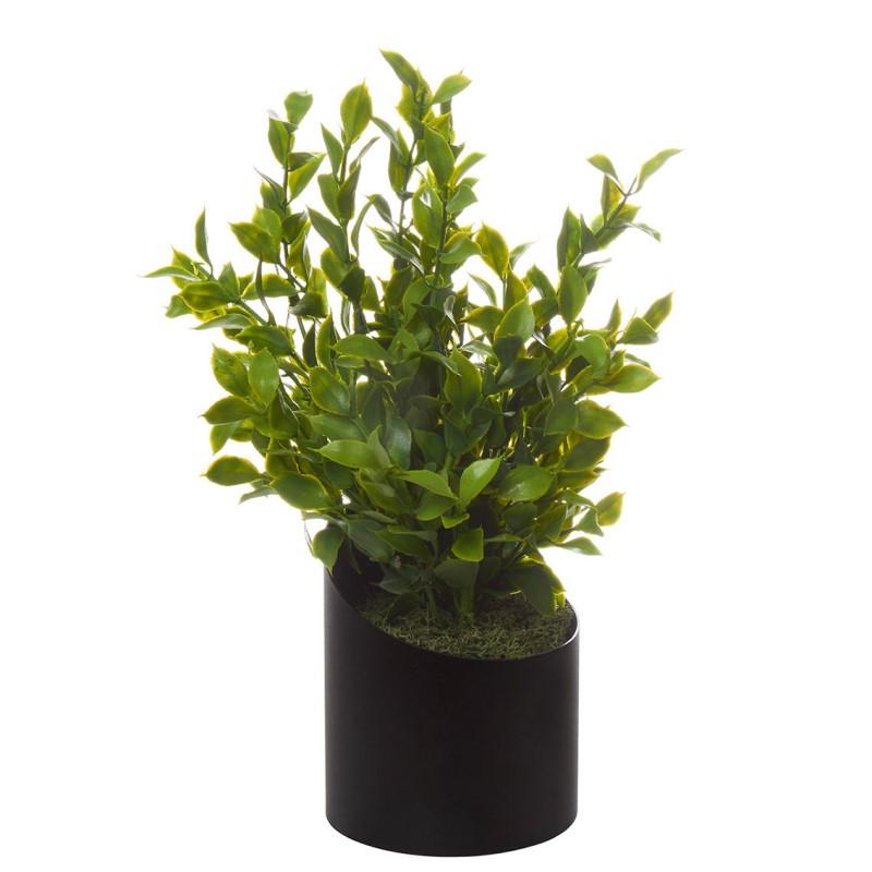 Podocarpus artificiel à poser vague - pot en métal disponible en plusieurs coloris - made in France - Genexco_0