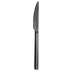 12 couteaux à steak Escade Noir Amefa - noir 3014152007944_0
