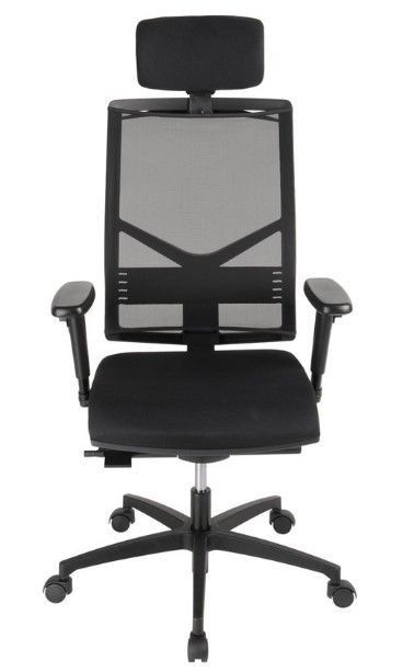 Redo - chaise de bureau ergonomique Sitis - dossier en résille avec réglages complets_0