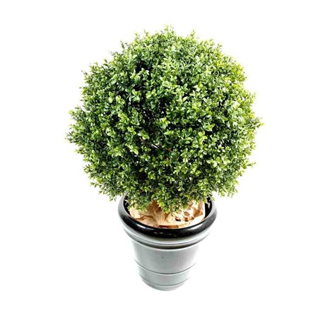 ARBRE BUIS BOULE 65 CM