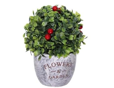 BOULE DE BUIS AVEC BAIES ROUGES + POT