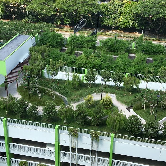 Membrane d'étanchéité RENOLIT ALKORPLAN Green - Toiture verte optimisée pour habitations et locaux_0