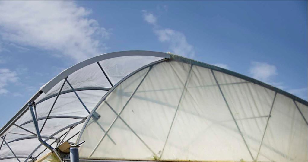 Asi-eco - serre chapelle - barre ETS - structure asymétrique pour plus de lumière et moins de risques de pluie_0