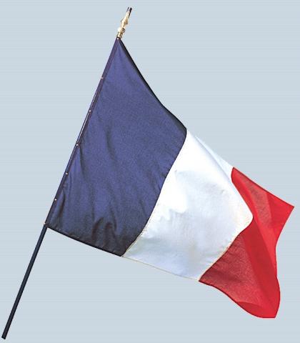 Drapeau France - Maille Polyester - Hampe en bois gainée bleue avec lance plastique dorée_0
