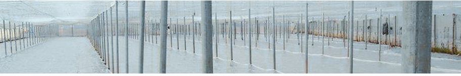 DESINFESOL Solarisation - Film agricole multicouche - Solplast - Membrane coextrudée LDPE/LLDPE/EVA/EBA_0