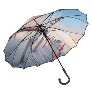 Parapluie automatique amaze référence: ix268839_0