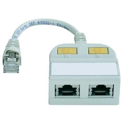 ADAPTATEUR TELEGARTNER PRISE 2X RJ VERS CONNECTEURS RJ-45 0,15 M