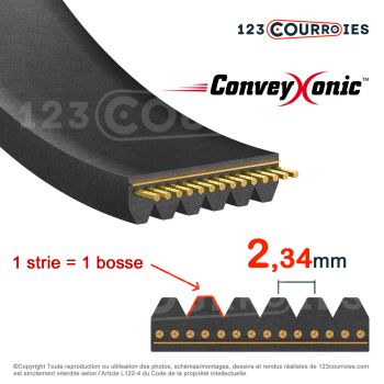 Courroie hutchinson conveyxonic 270j1 - 270j1_0