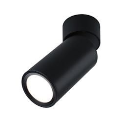Paulmann Plafonnier LED 3-Step-Dim Turnal  Coin 2700K 470lm 230V 6W gradable Noir mat 93089 - noir métal 93089_0