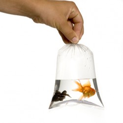 Sachet plastique PEBD 100 microns - Dimensions 500x800 mm - Transparent avec fermeture soudure, lien ou adhésif_0