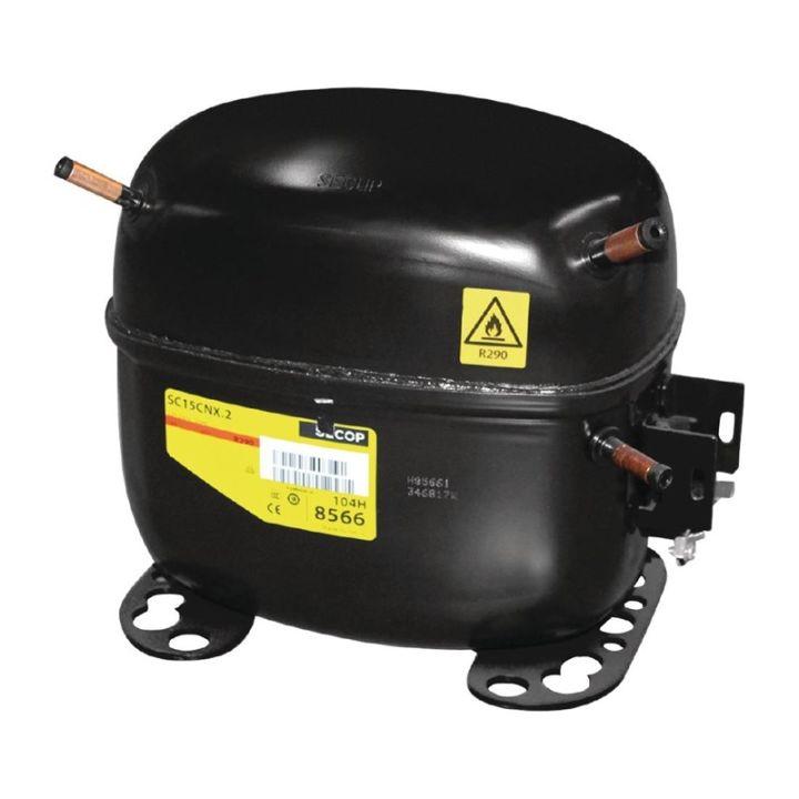 Compresseur R290-SC15CNX.2 compatible avec appareils POLAR CW194, DL917, G591, G593, G600_0