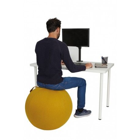 Siège ballon ergonomique_0