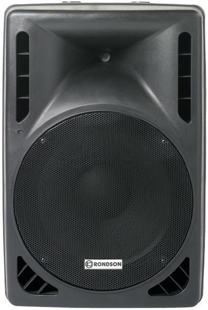 Enceinte professionnelle SPC 15 RONDSON - 300 W - 8 ohms - Hautes performances - Thermomoulée en ABS_0