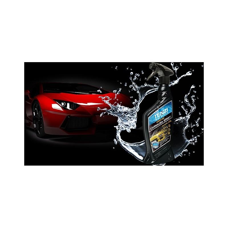 Carnauba spray 0,6L - Protection rapide pour carrosseries et vitres - Référence AD31 - Marque TENZI_0