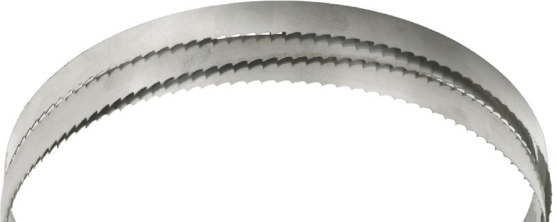LAME DE SCIE POUR SCIES VERTICALES HBS312-2 HOLZSTAR 5163115