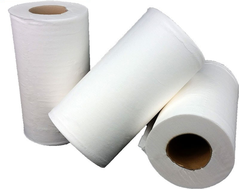 Drap d'examen lisse demi-format 25 x 38 cm - 2 plis en ouate de cellulose - Carton de 24 rouleaux_0