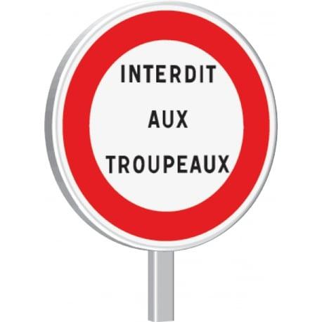 B19-850-Classe 1-Autres interdictions-Texte à spécifier TALIAPLAST | 523718_0