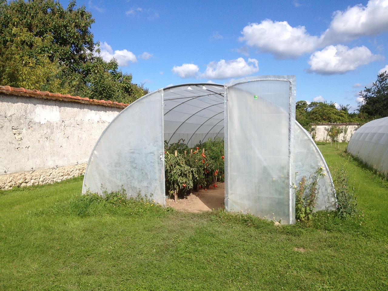Serre tunnel professionnelle - Gamme Arceaux - L4,5m x H2,255m - Acier galvanisé et toiture anti-UV_0