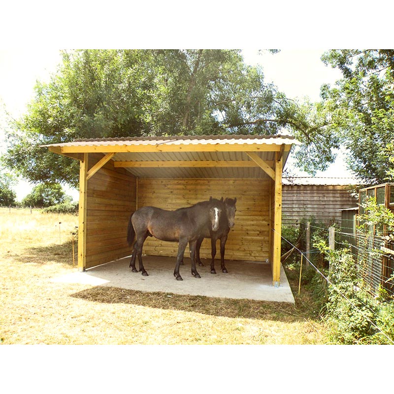 Abri de stockage en bois - Toiture bac acier galvanisé - Auvent 1,2m - Ancrage au sol avec platine_0
