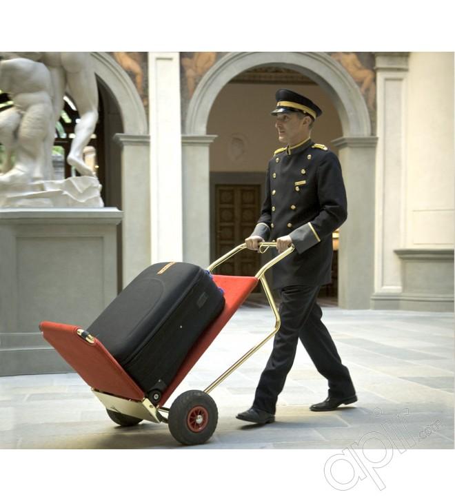 Chariot porte valise pliable leo_0