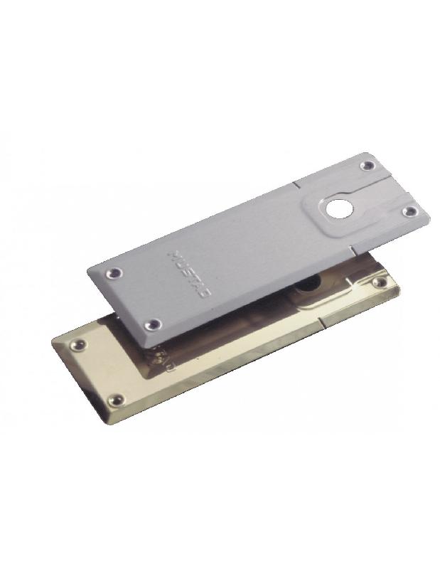 PLAQUE DE PIVOT GRAND MODÈLE 710.02GR POUR SÉRIE 8610 LAITON POLI - LCN - 3050705080