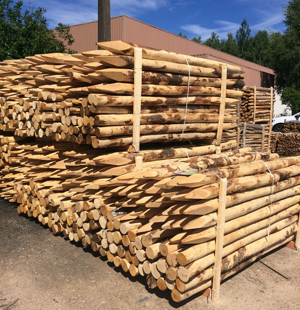 Piquet de clôture en bois - châtaignier ou acacia - bord appointé et chanfreiné - fabrication sur mesure_0