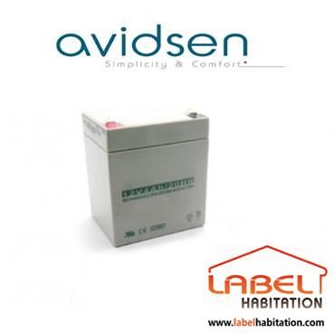 BATTERIE 12V DE SECOURS POUR LES MOTORISATIONS AVIDSEN 104901