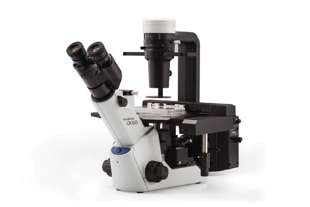 Ckx53 - microscope inversé_0