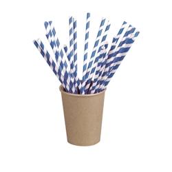 FHC - Paille Papier bleu/Blanc  6mm  H210mm - 600Pcs - bleu papier 3282552142651_0