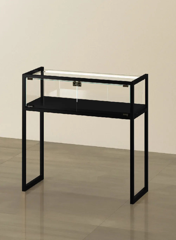 Vitrine TM/95TVA - noir muséo - vitrine d'exposition en verre avec finition bronze et LED_0