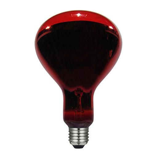 E27 réflecteur R125 230V-240V 200W IR rubifiée LAES - lampe infrarouge pour élevage et séchage_0
