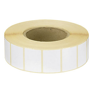 ÉTIQUETTE PAPIER THERMIQUE DIRECT MANDRIN 76 MM 105X148,5 MM
