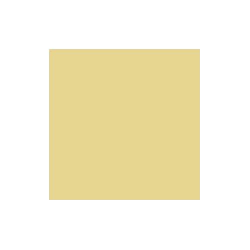 Panneau décoratif façade MBP-120-BE - acier plastifié finition inoxydable - couleur beige RAL-1015_0