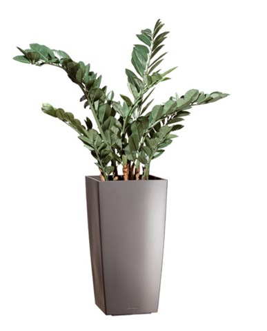 PLANTE ARTIFICIELLE D'INTÉRIEUR ZAMIA + POT KUBIS GRIS ANTHRACITE -